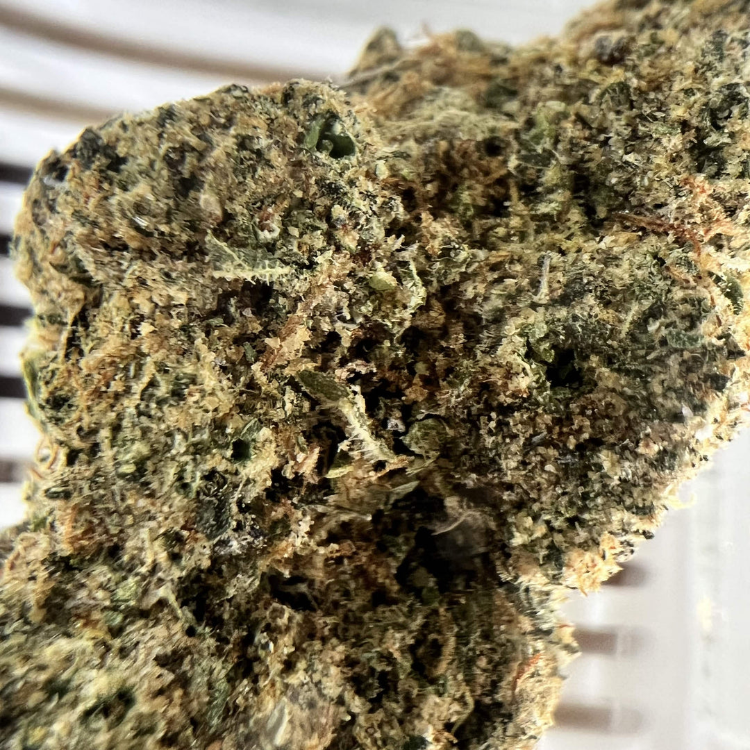 Exotic THC-A Flower - Black Blizzard - Indica (38%)