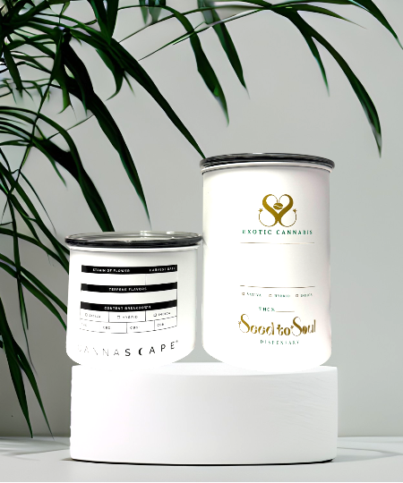 Stainless Steel Airtight Containers